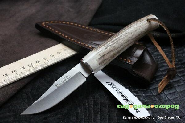 Фото Нож с фиксированным клинком Muela Spain Stag Handle MN-8A