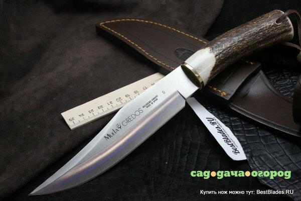 Фото Нож с фиксированным клинком Muela Gredos Stag Handle GRED-18R