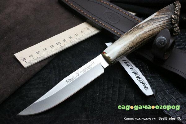 Фото Нож с фиксированным клинком Muela Gredos Stag Handle GRED-12SR