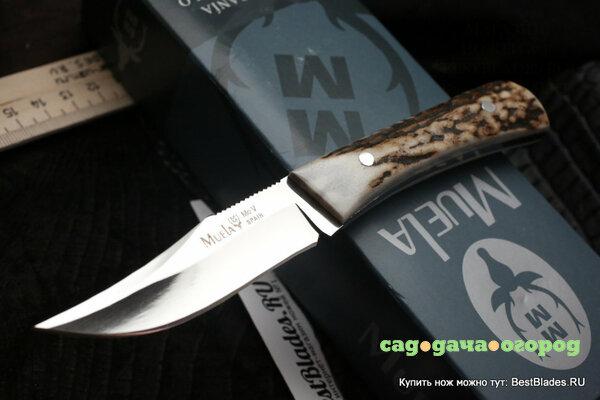 Фото Нож с фиксированным клинком Muela Criollo Bowie Stag Handle BWE-8A