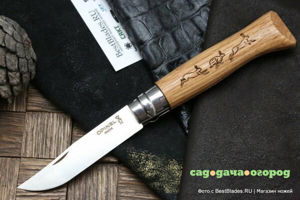 Фото Нож Opinel Animalia 8 нержавеющая сталь, рисунок - заяц