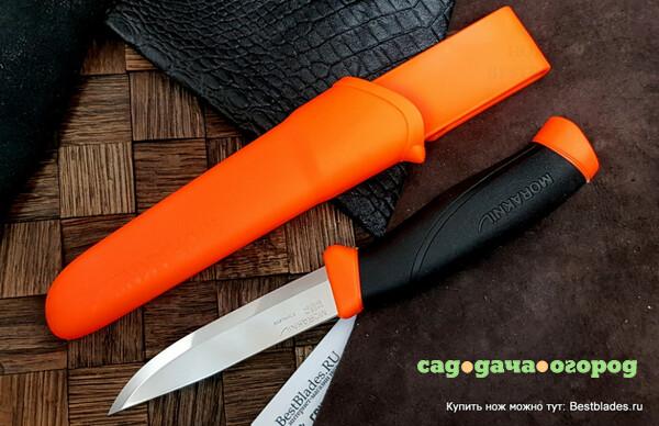 Фото Нож Morakniv Companion Orange, нержавеющая сталь