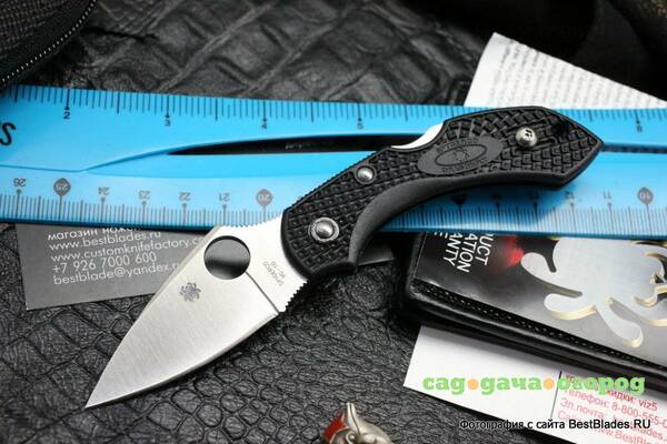 Фото Нож Spyderco Dragonfly 2 C28PBK2