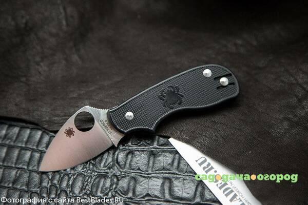 Фото Spyderco c154pbk Squeak