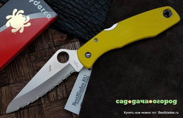 Фото Нож Spyderco Pacific Salt C91SYL