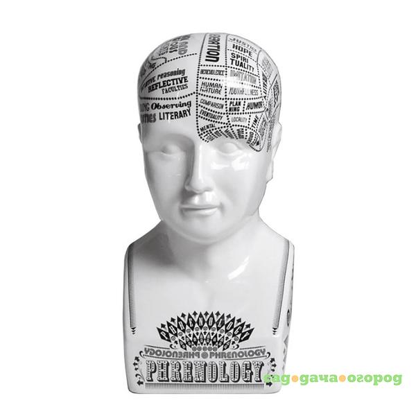 Фото Статуэтка Phrenology