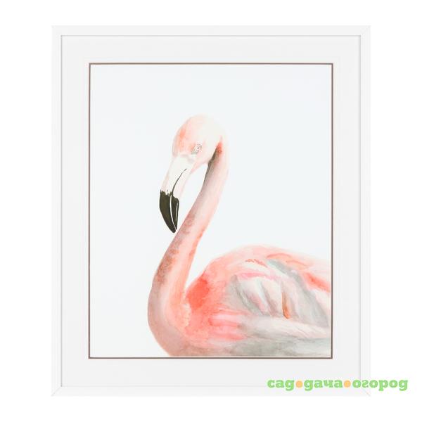 Фото Постер Flamingo