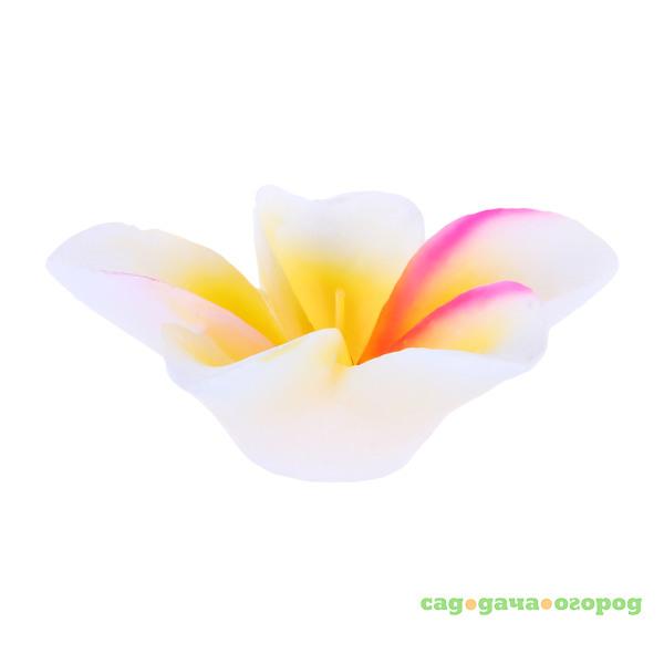 Фото Свеча Edg frangipani 5х13см розовый-крем