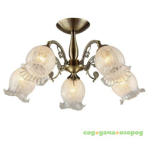 Фото Потолочная люстра IDLamp Ernest 288/5PF-Oldbronze