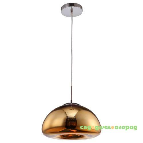 Фото Подвесной светильник Arte Lamp Swift A8041SP-1GO