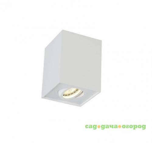 Фото Потолочный светильник Crystal Lux CLT 420C WH