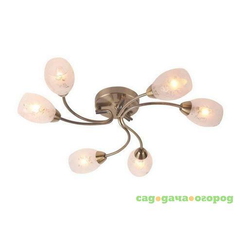 Фото Потолочная люстра IDLamp Carmina 201/6PF-Oldbronze