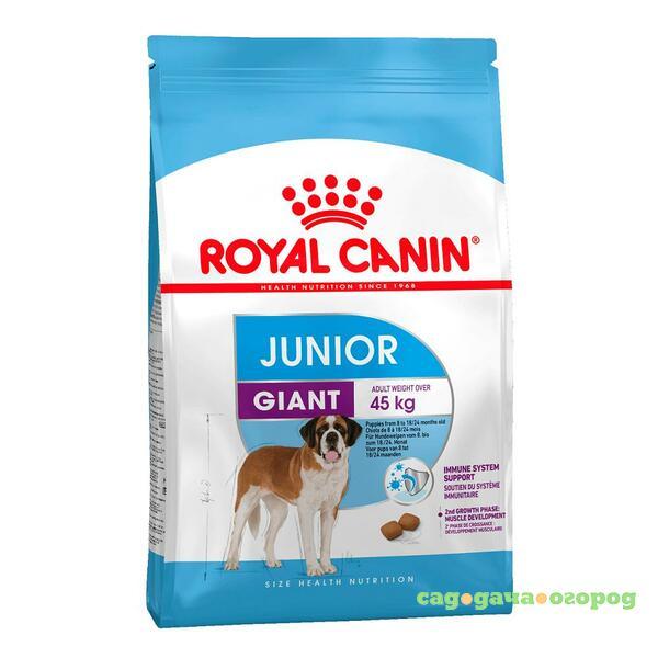 Фото Royal Canin Giant Junior