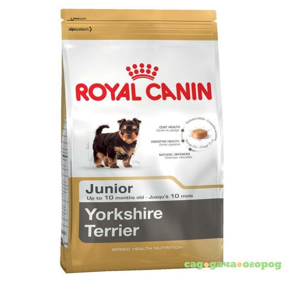 Фото Royal Canin Yorkshire Terrier Junior