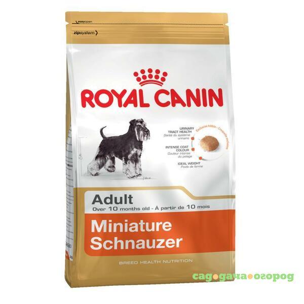 Фото Royal Canin Miniature Schnauzer