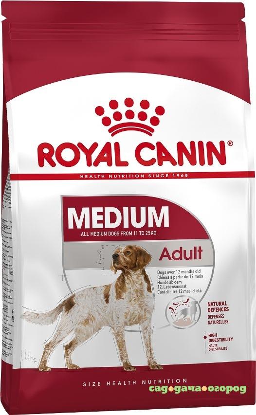 Фото Royal Canin Medium Adult