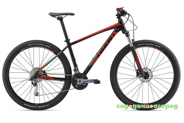 Фото Talon 29er 2 GE (2018)