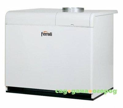 Фото Ferroli PEGASUS F3 N 119 2S