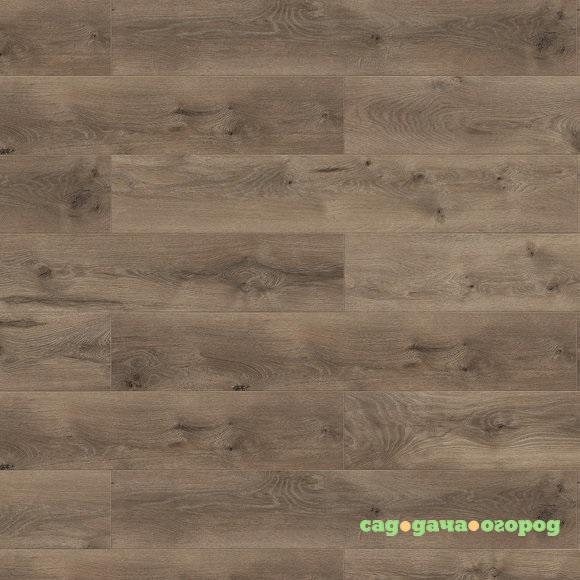 Фото Ламинат Wiparquet Authentic 8 Realistic 47426 Дуб Валис