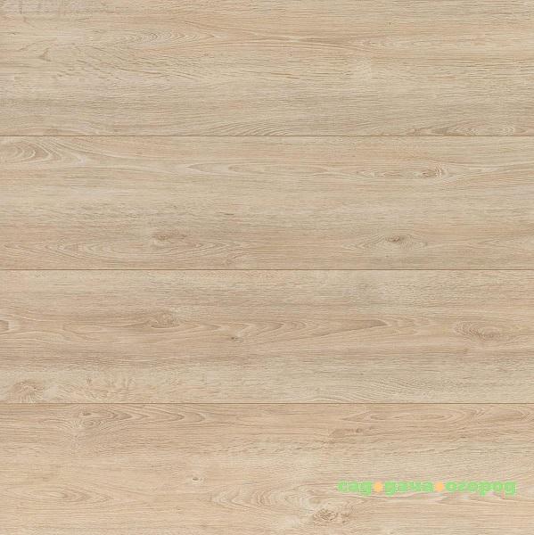 Фото Ламинат Wiparquet Authentic 8 Realistic 30117 Дуб Светлый