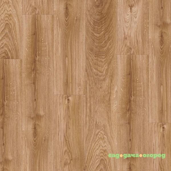 Фото Ламинат Pergo Living Expression Classik Plank 4V L1301-01731 Дуб Натуральный планка