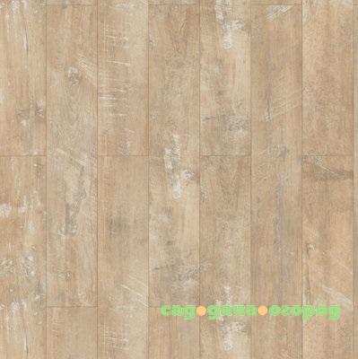 Фото Ламинат Wiparquet Style 8 Realistic 47430 Спектрум