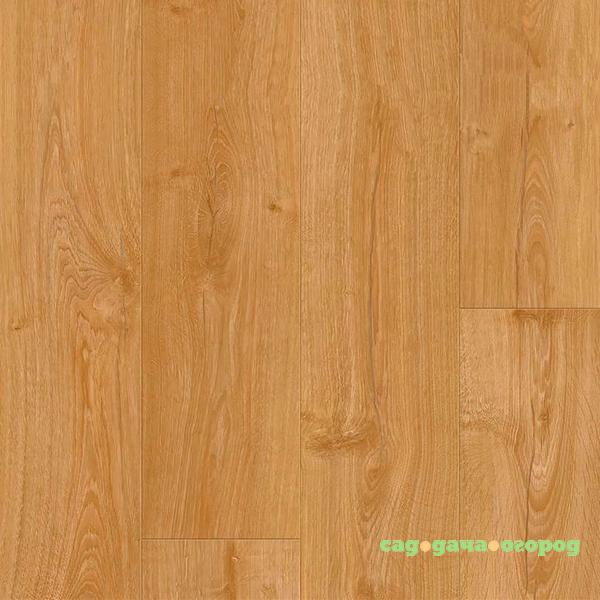 Фото Ламинат Pergo Sensation Modern Plank 4V L1231-03370 Дуб Приусадебный