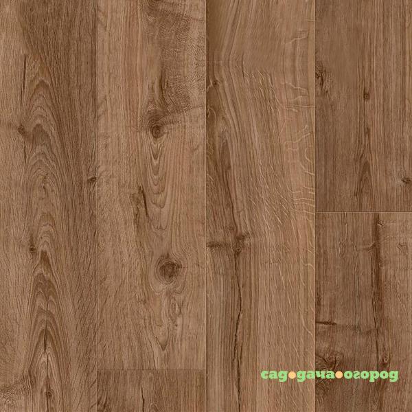 Фото Ламинат Pergo Sensation Modern Plank 4V L1231-03371 Дуб Фермерский