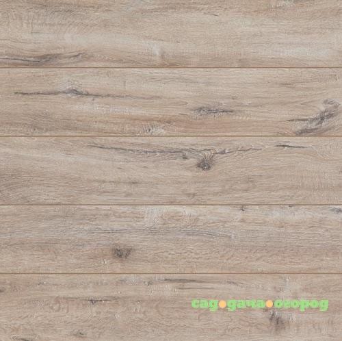 Фото Ламинат Wiparquet Trend XL 48378 Дуб Дубровник