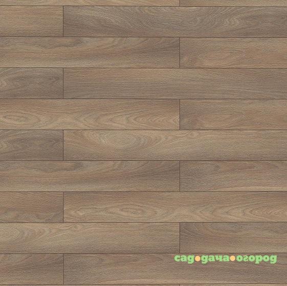 Фото Ламинат Wiparquet Authentic 10 Narrow 29852 Дуб Лимбург серый