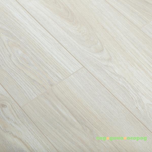 Фото Ламинат Solofloor Modern Line 1101 Дуб Rich