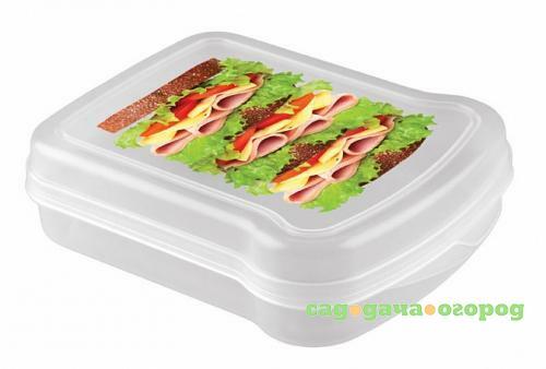 Фото Контейнер для бутербродов phibo, 17*13*4,2 см