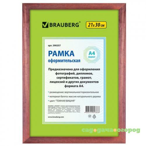 Фото Рамка BRAUBERG, HIT, 21*30 см, багет 1,8 см, темная вишня