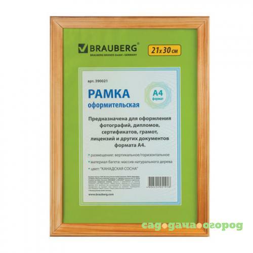 Фото Рамка BRAUBERG, HIT, 21*30 см, багет 1,8 см, канадская сосна