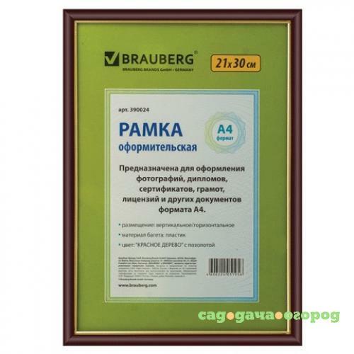 Фото Рамка BRAUBERG, HIT, 21*30 см, багет 1,4 см, красное дерево, золото