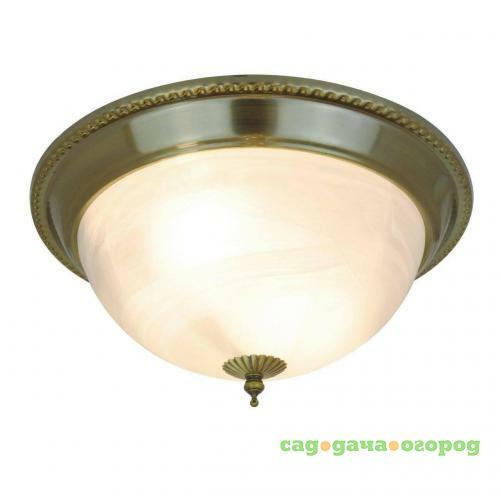 Фото Потолочный светильник Arte Lamp 16 A1305PL-2AB