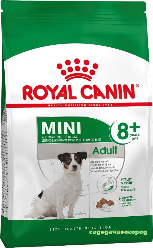 Фото Royal Canin Mini Adult 8+