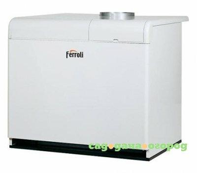 Фото Ferroli PEGASUS F3 N 289 2S