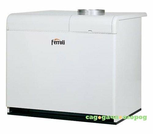 Фото Ferroli PEGASUS F3 N 170 2S