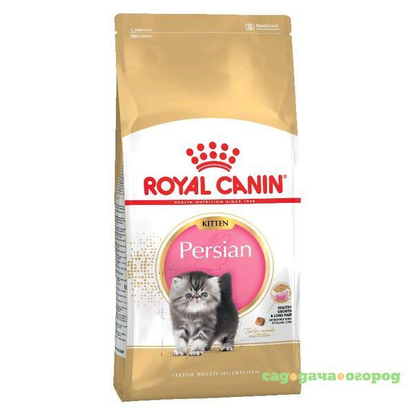 Фото Royal Canin Persian Kitten