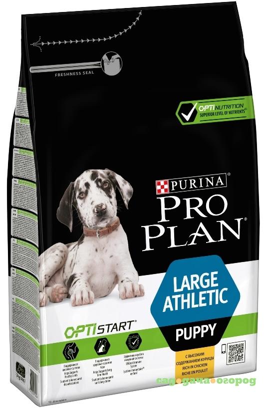 Фото Pro Plan Large Athletic Puppy