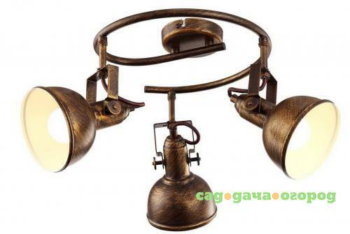 Фото Спот Arte Lamp Martin A5215PL-3BR