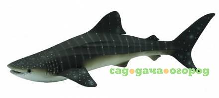 Фото «Китовая акула XL»