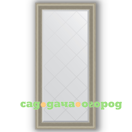 Фото Зеркало в багетной раме Evoform хамелеон 76x159 см
