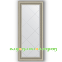 Фото Зеркало в багетной раме Evoform хамелеон 66x156 см