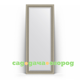 Фото Зеркало в багетной раме Evoform хамелеон 81x201 см