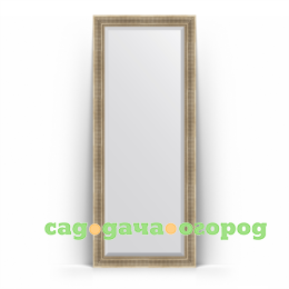 Фото Зеркало в багетной раме Evoform серебряный акведук 82x202 см