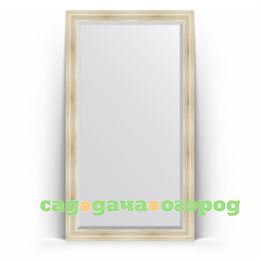 Фото Зеркало в багетной раме Evoform травленое серебро 114x204 см