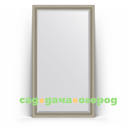 Фото Зеркало в багетной раме Evoform хамелеон 111x201 см