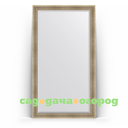 Фото Зеркало в багетной раме Evoform серебряный акведук 112x202 см